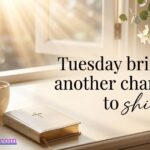 Tuesday Quotes